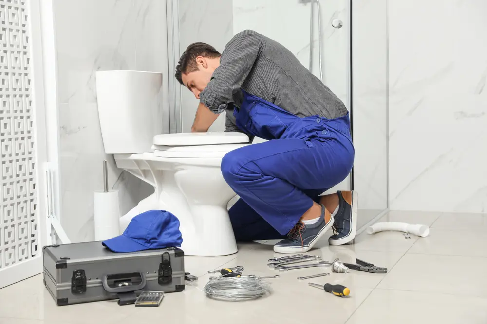 Toilet Installation in Alta